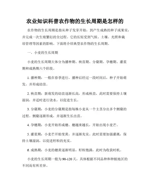 农业知识科普农作物的生长周期是怎样的