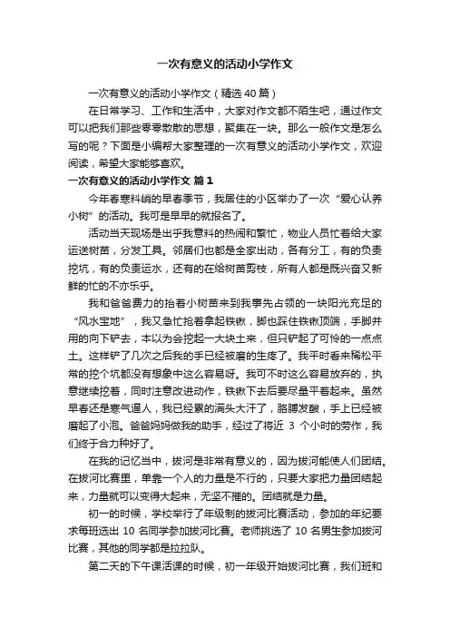 一次有意义的活动小学作文（精选40篇）