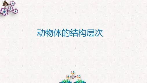 动物体的结构层次七年级生物优质课件(人教版)