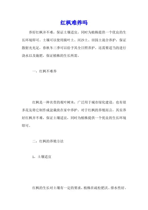 红枫难养吗