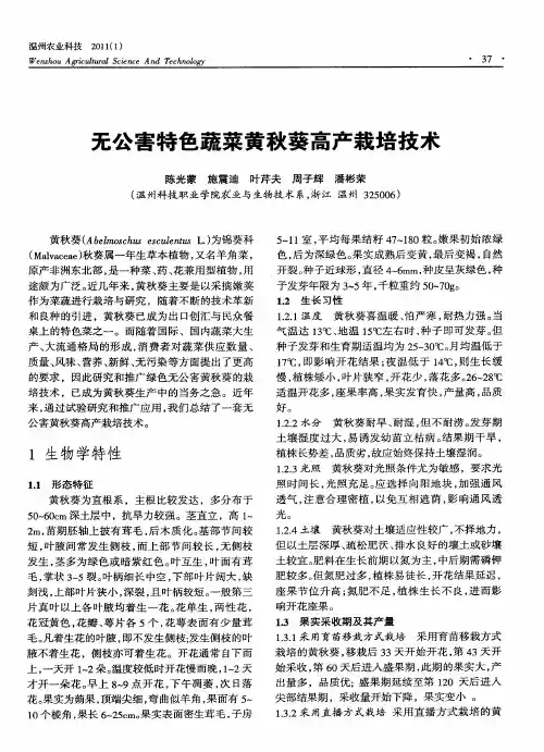 无公害特色蔬菜黄秋葵高产栽培技术
