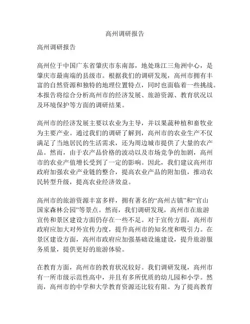 高州调研报告