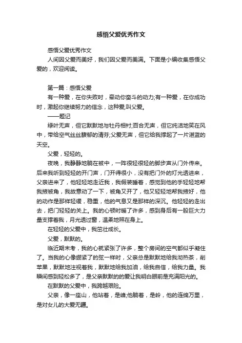 感悟父爱优秀作文