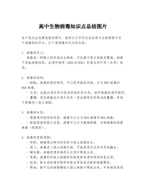 高中生物病毒知识点总结图片