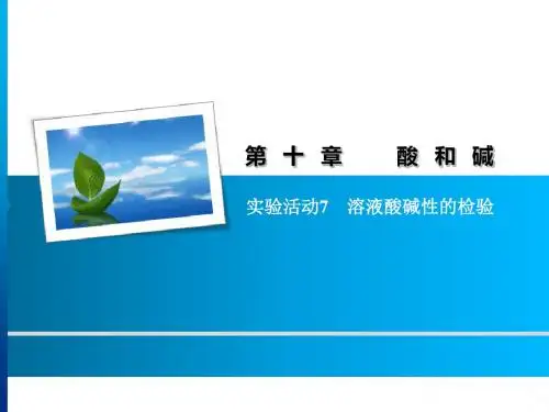 人教版初中化学九年级下册  实验活动7 溶液酸碱性的检验(共15张PPT)