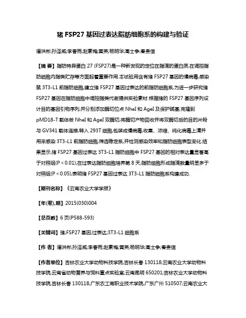 猪FSP27基因过表达脂肪细胞系的构建与验证