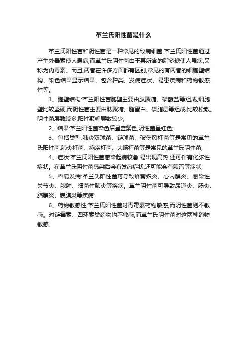 革兰氏阳性菌是什么