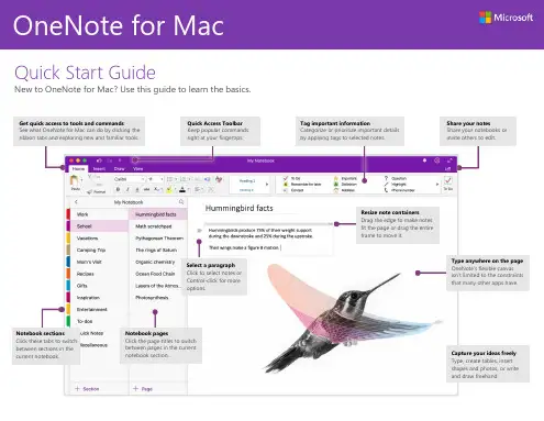 OneNote 新手指南说明书