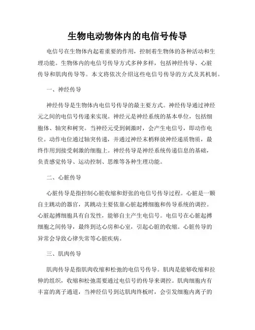 生物电动物体内的电信号传导