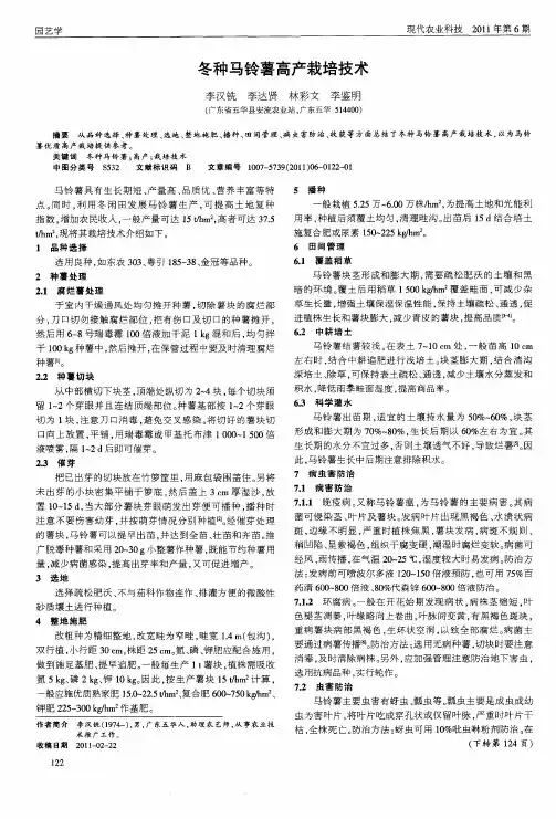 冬种马铃薯高产栽培技术