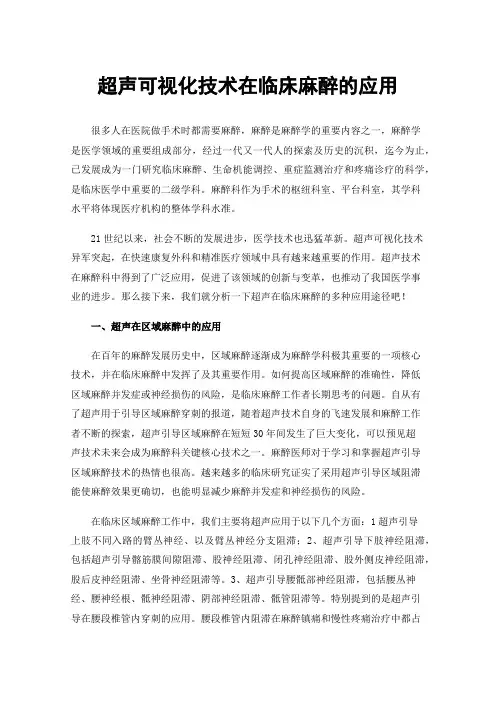 超声可视化技术在临床麻醉的应用