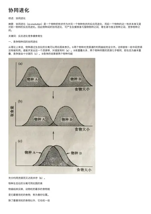 协同进化——精选推荐