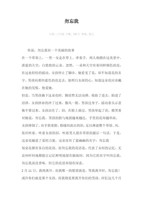 勿忘我700字作文