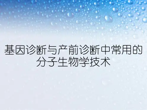 基因诊断与产前诊断中常用的分子生物学技术