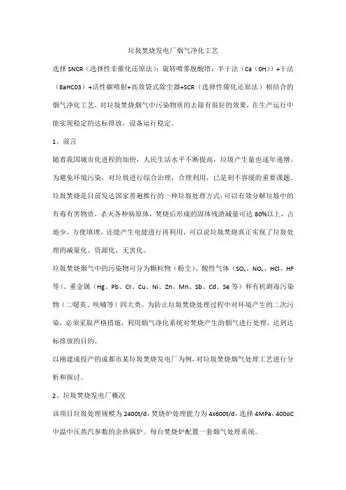 垃圾焚烧发电厂烟气净化工艺