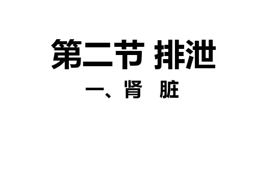 冀少版生物七下2.3.2《排泄-肾脏》实用教学课件(共34张PPT)