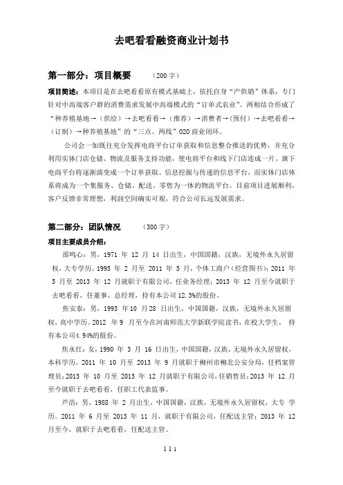 融资商业计划书范本