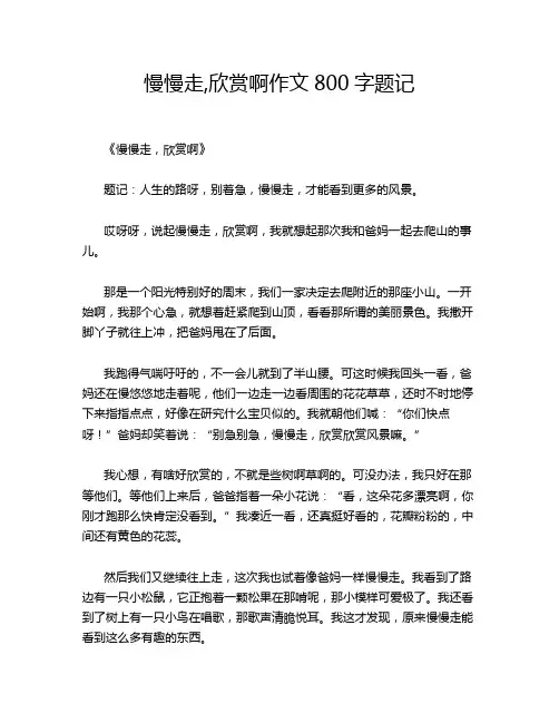 慢慢走,欣赏啊作文800字题记
