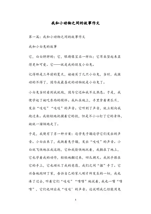我和小动物之间的故事作文