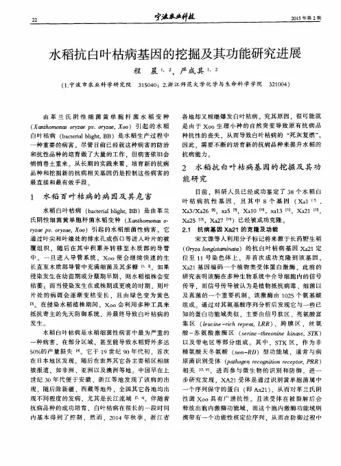 水稻抗白叶枯病基因的挖掘及其功能研究进展