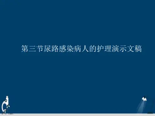 第三节尿路感染病人的护理演示文稿
