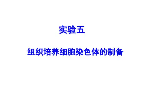 实验五. 细胞染色体制备知识讲解