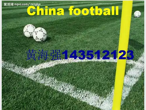 中国足球PPT完结版