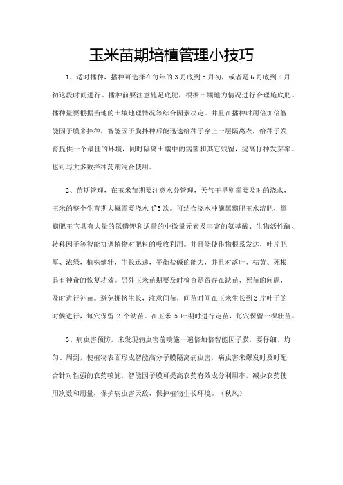玉米苗期培植管理小技巧