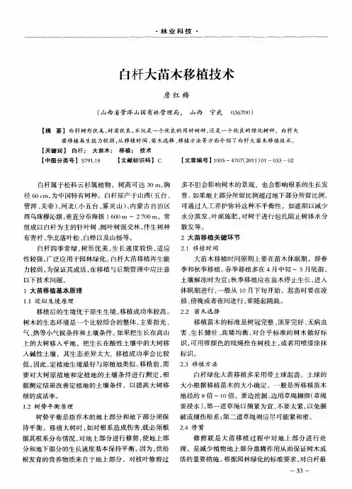 白杄大苗木移植技术