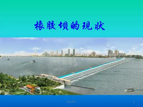 橡胶坝的现状(高级课件)