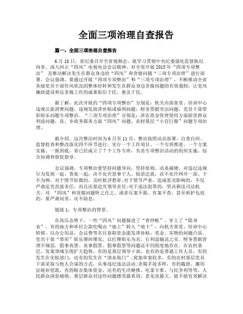 全面三项治理自查报告