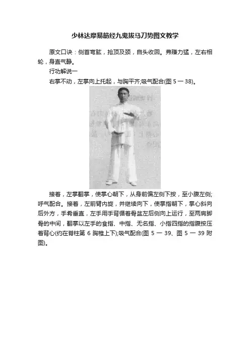 少林达摩易筋经九鬼拔马刀势图文教学