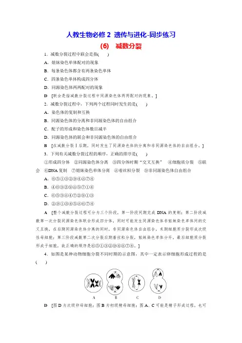 人教生物必修2 遗传与进化-同步练习(6) 减数分裂