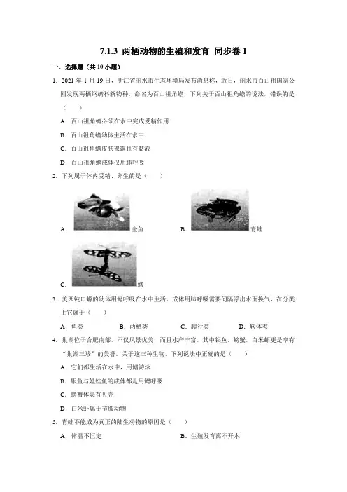 人教版生物八年级下册两栖动物的生殖和发育