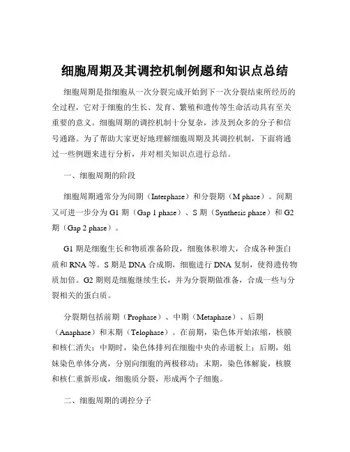细胞周期及其调控机制例题和知识点总结