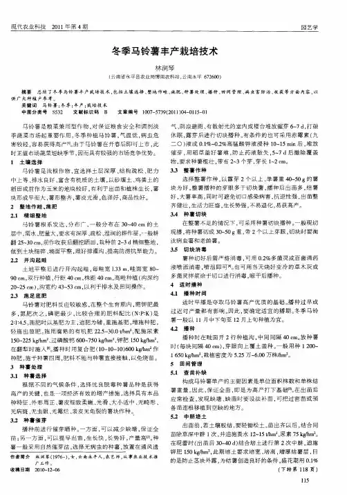 冬季马铃薯丰产栽培技术