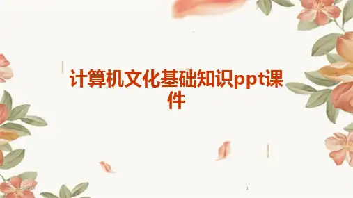 2024年度计算机文化基础知识ppt课件