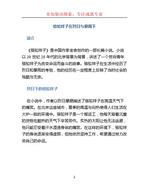 骆驼祥子在烈日与暴雨下