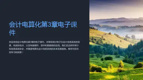 会计电算化第3章电子课件