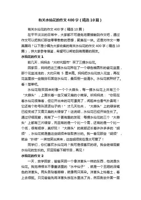 有关水仙花的作文400字（精选10篇）