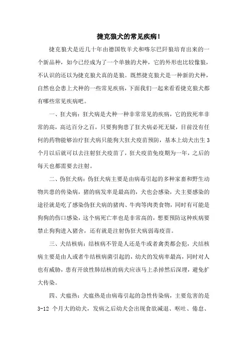 捷克狼犬的常见疾病!