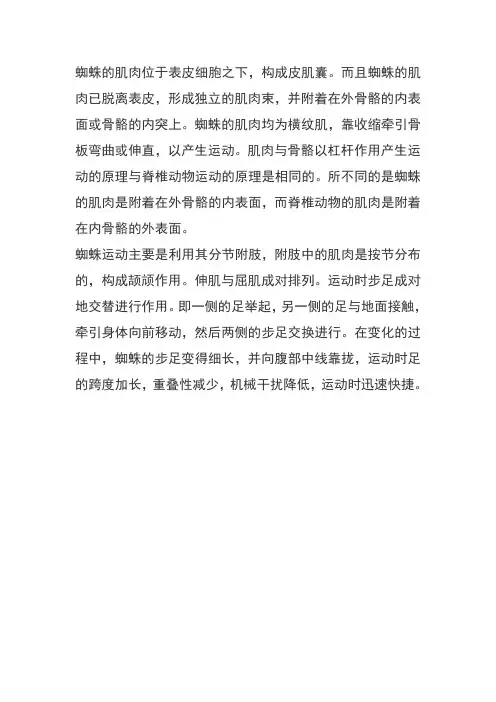 蜘蛛是怎样爬行的