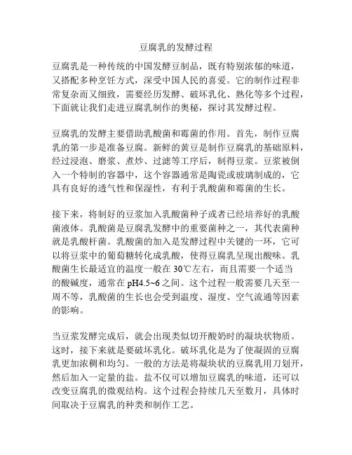 豆腐乳的发酵过程