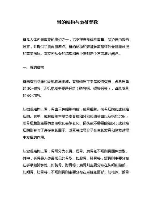 骨的结构与表征参数
