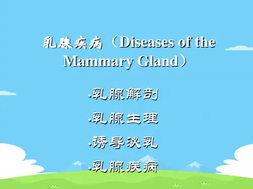 乳腺疾病基础知识培训(ppt 34页)