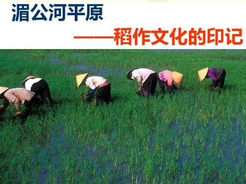 家住平原——稻作文化的印记完整版课件