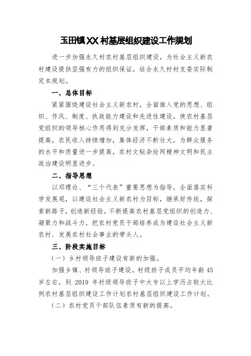 村基层组织建设工作规划