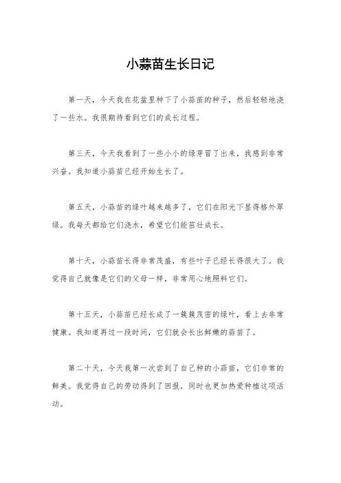 小蒜苗生长日记
