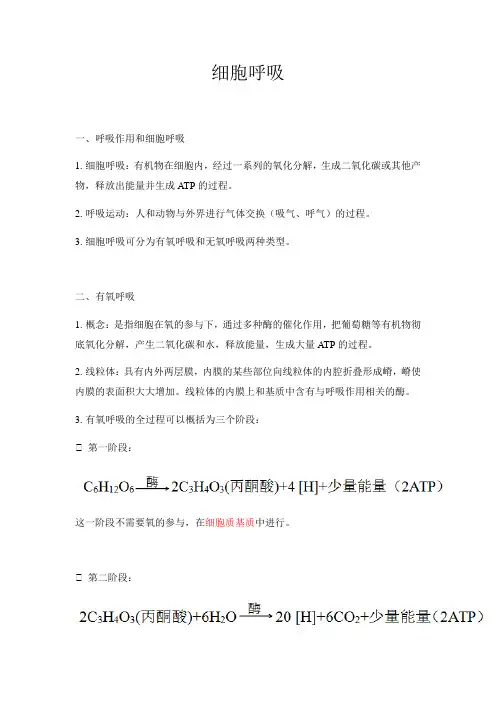 高中生物 高三一轮复习：细胞呼吸  讲义