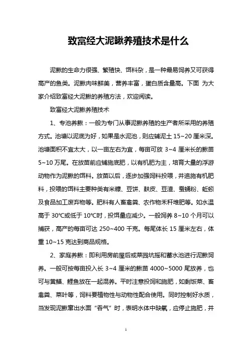 致富经大泥鳅养殖技术是什么